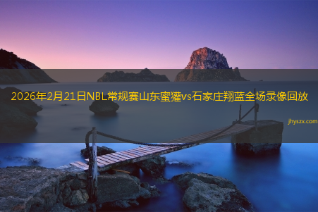 2026年2月21日NBL常规赛山东蜜獾vs石家庄翔蓝全场录像回放